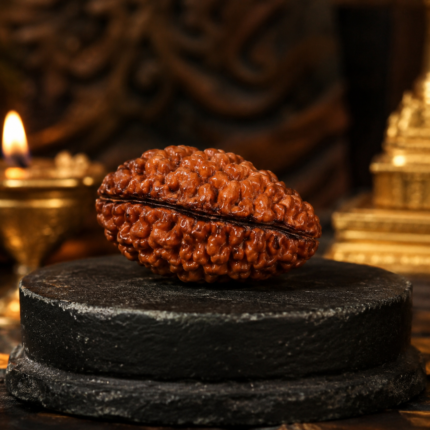 1 Mukhi Rudraksha